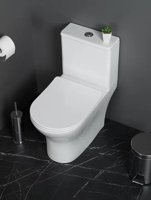 Фото Унитаз моноблок BelBagno Lounge BB8618CPR-MN/SC безободковый купить в Бердске: цена, описание, фото. Интернет-магазин 1